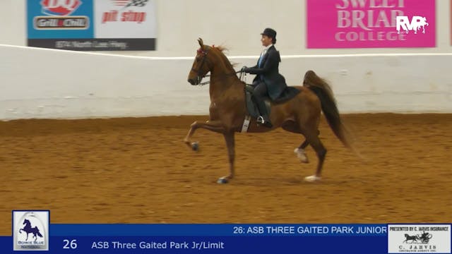 BB24 - Class 26 -  ASB Three Gaited P...