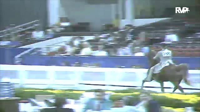 1991 WCHS Class 142 UPHA Adult Equita...