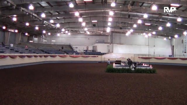 MGN15 - Performance Arena - 10-11-15 ...