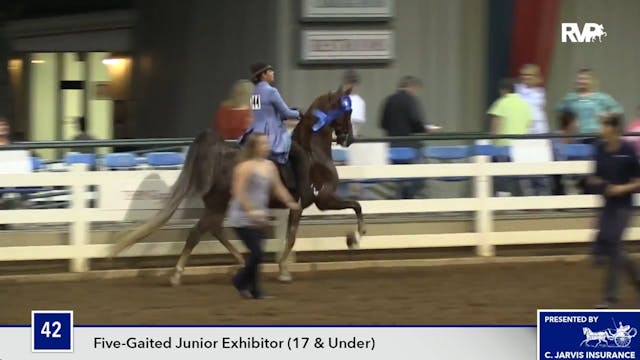 SEC16 - King's Carma