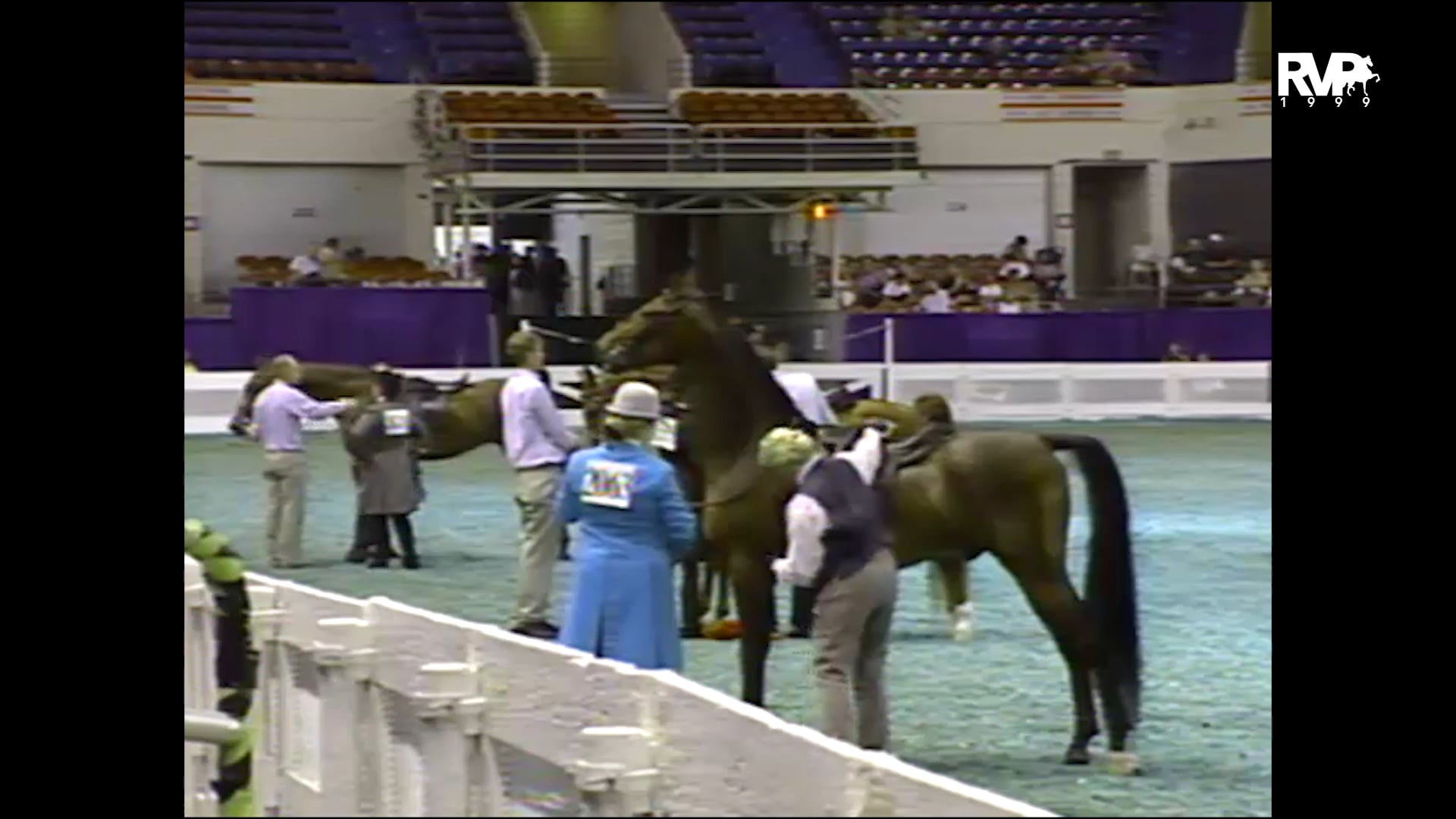 1999 WCHS - Class 40 ASHA Amateur Futurity Of Kentucky Three Year Old Three Gaited Show Pleasure