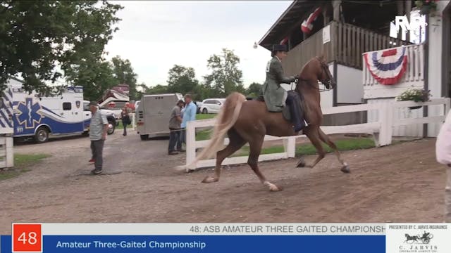 SHS22 - Class 48 -  Amateur Three Gai...