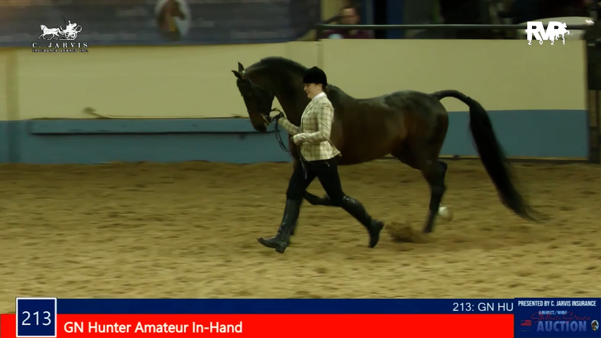 MGN21 - Class 213 - GN Hunter In Hand