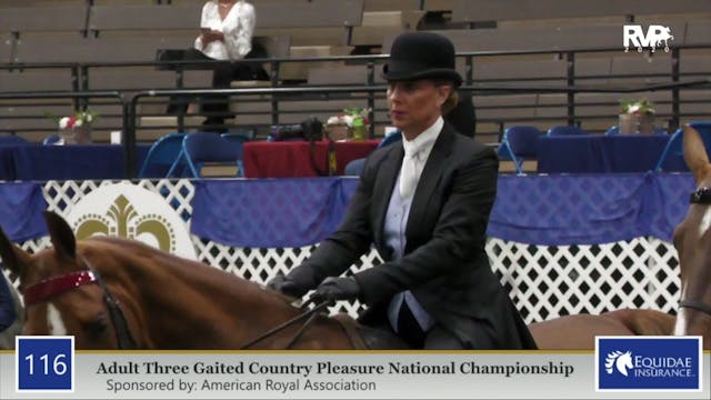 2020 AR - Class 116 ASB Three Gaited ...