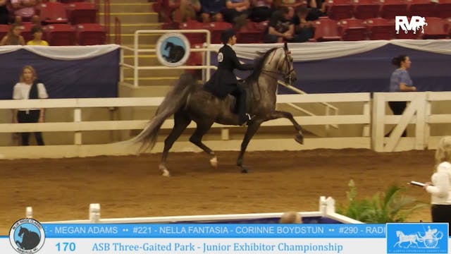 BR24 - Class 170 - ASB Three-Gaited P...