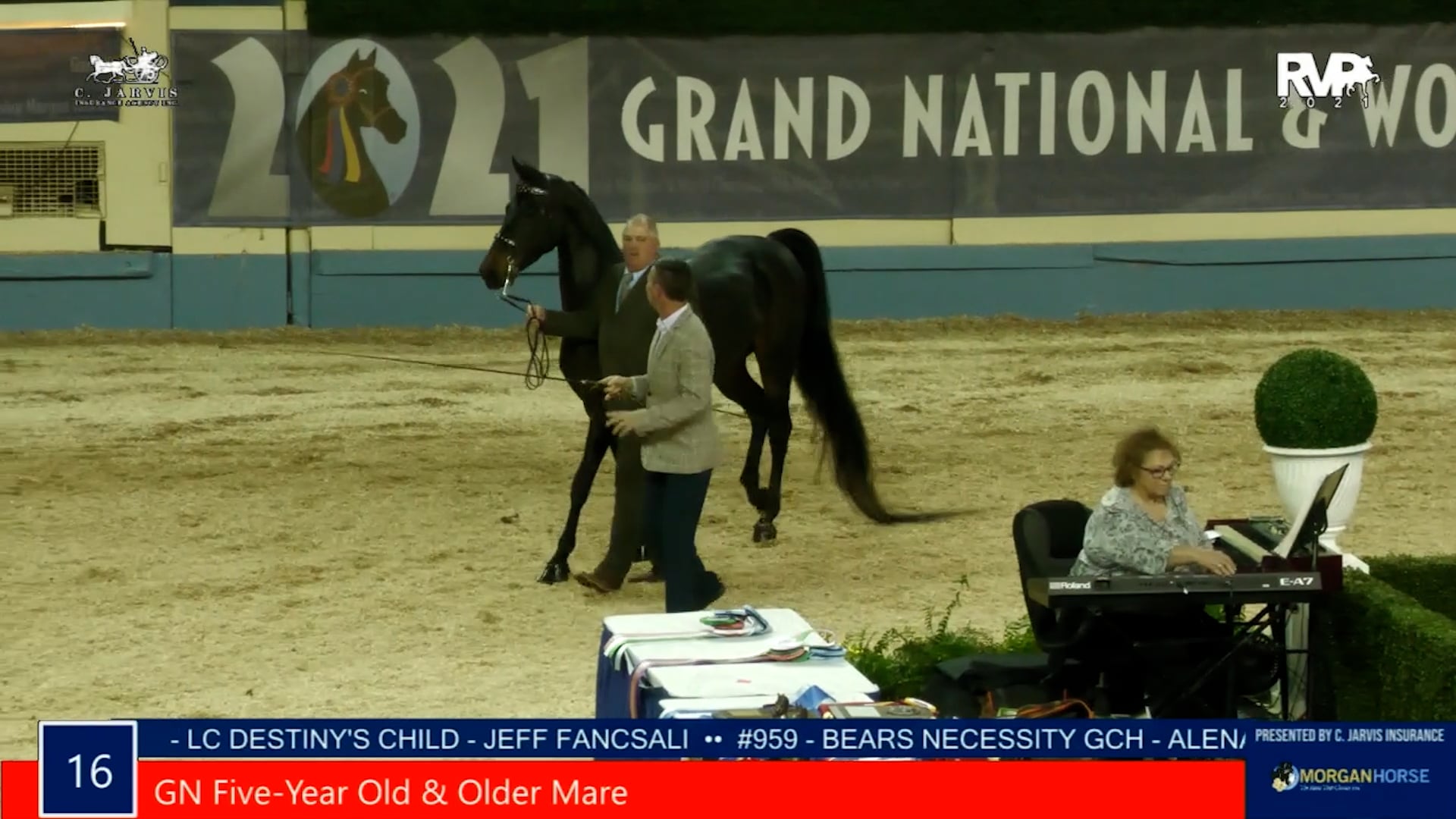 MGN21 - Class 16 - GN Five Year Old & Older Mare