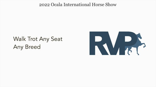 OIHS - Class 67 - Walk Trot Any Seat ...