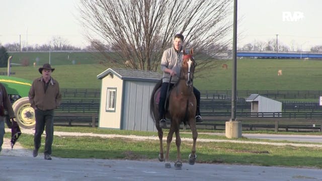 2019 Kentucky Spring Premier Horse Sh...