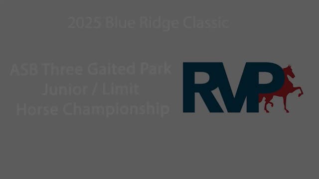 BRC25 - Class 213 - ASB Three Gaited ...