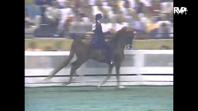 1988 WCHS - Class 157 Five Gaited Gra...