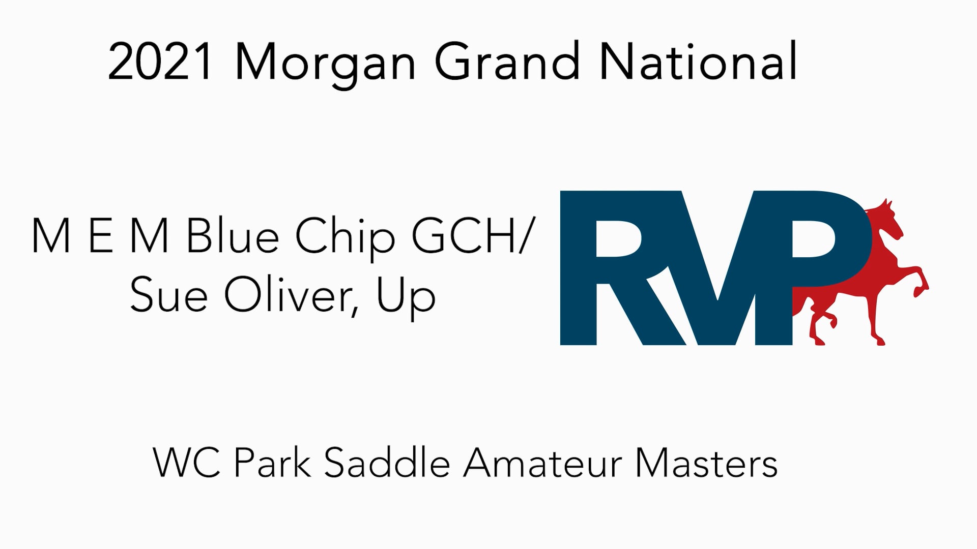 MGN21 - Class 187 - M E M Blue Chip GCH- Sue Oliver, Up