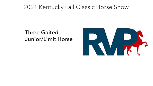 KYFC21 - Class 33 - Three Gaited Juni...
