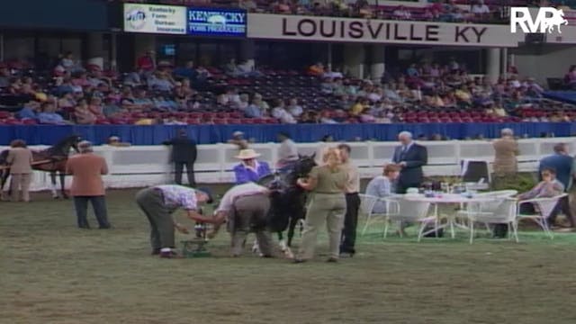 2004 World's Championship Horse Show ...