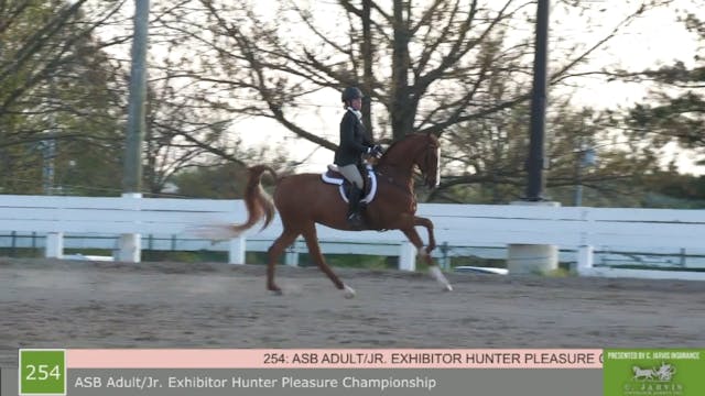 SB21 - Class 254 - ASB Adult-Jr. Exhi...
