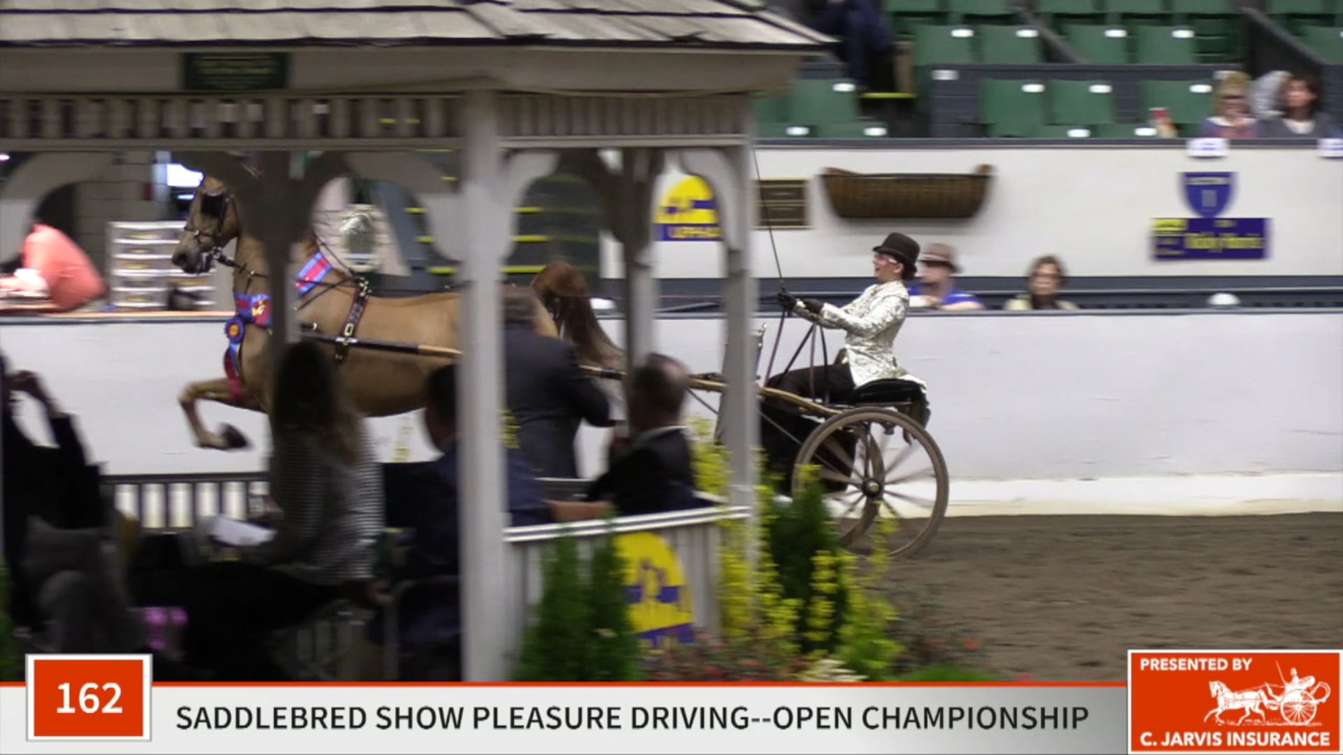 UPHA14-19 - Class 162 - CH MBA's Royal Shadow Phax Championship