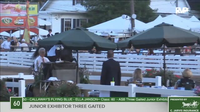 2016 RC - Class 60 Junior Exhibitor T...