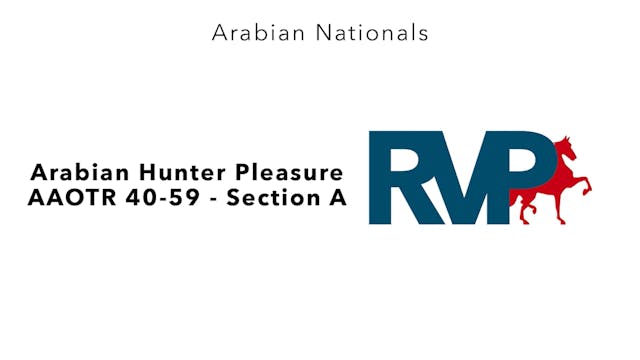 AN24 - Class 2936A - Arabian Hunter P...