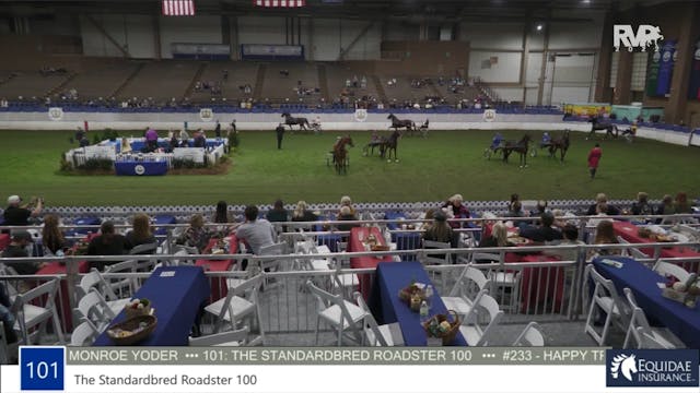 AR22 - Class 101 - The Standardbred R...