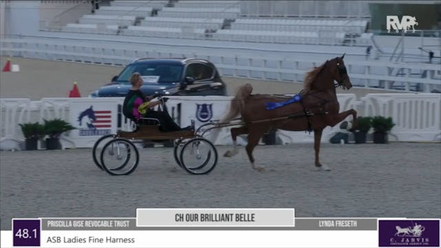 2022 Ocala International Horse Show -...