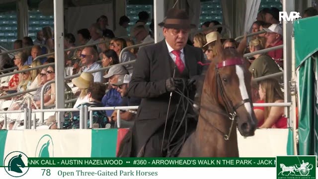 LJL25 - Class 78 - Open Three Gaited ...