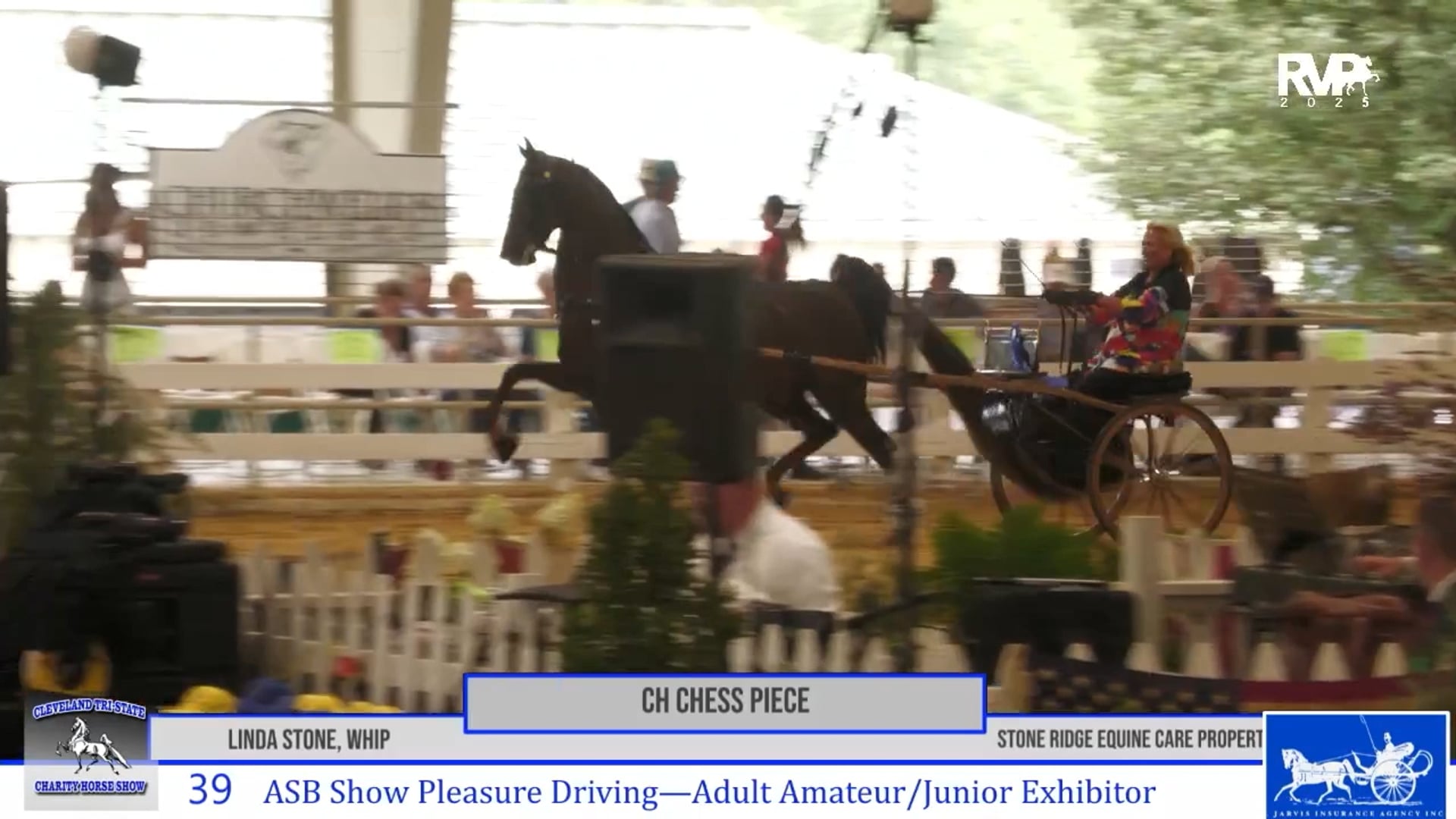 CTS25 - Class 39 - ASB Show Pleasure Driving Adult Amateur-Jr Exhibitor