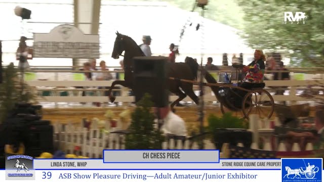 CTS25 - Class 39 - ASB Show Pleasure ...
