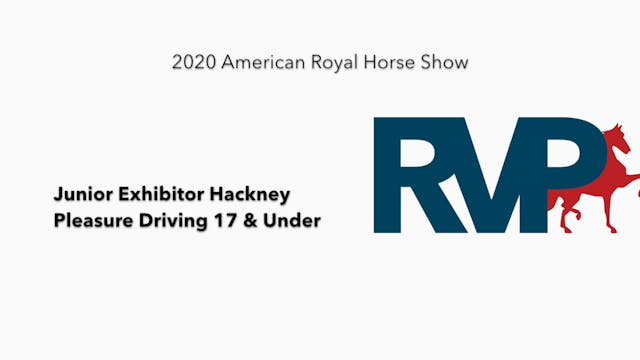 2020 AR - Class 87 Junior Exhibitor H...