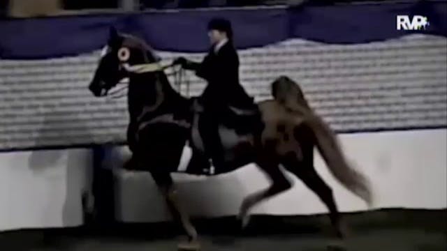2014 American Royal - Retirement - An...