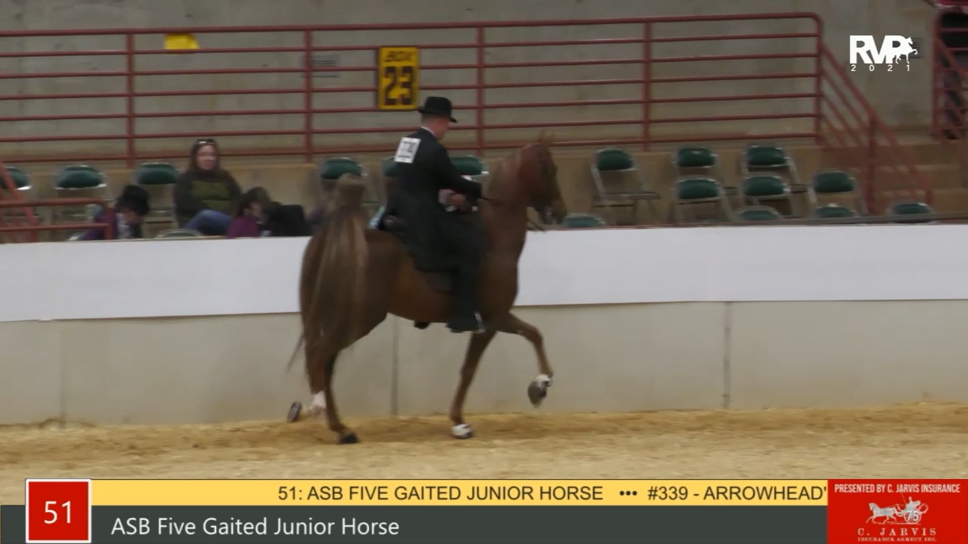 PA21 - Class 51 ASB Five Gaited Junior Horse