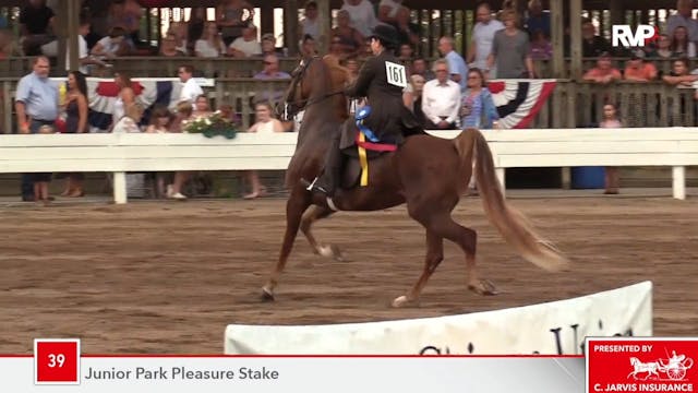 SHS18 - Class 39 - Luna Las Vegas