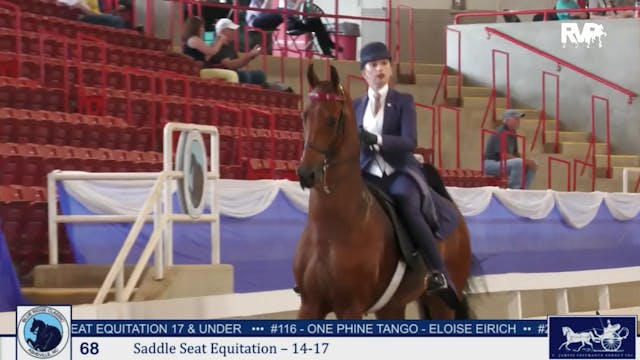 BRC25 - Class 68 - Saddle Seat Equita...