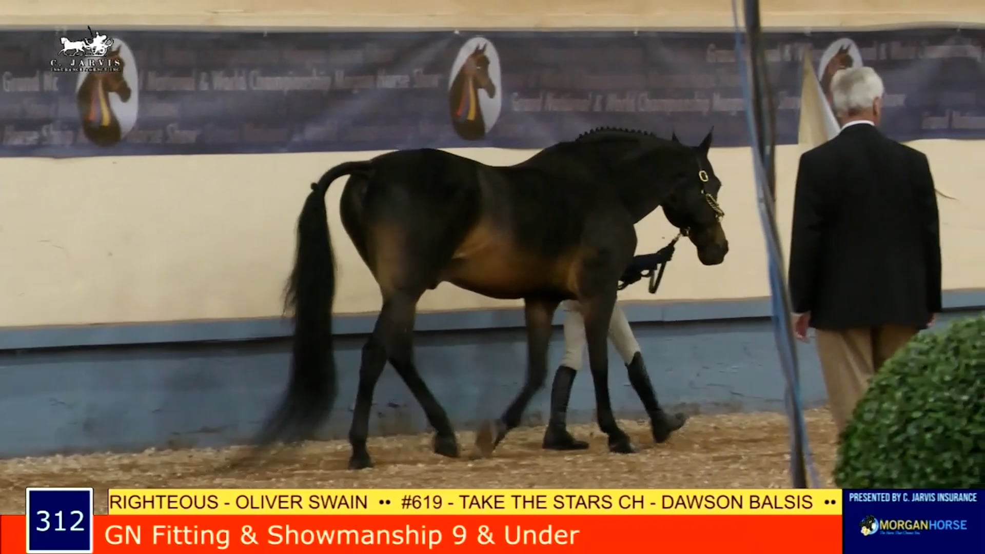 MGN21 - Class 312 - GN Fitting & Showman 9 & Under 