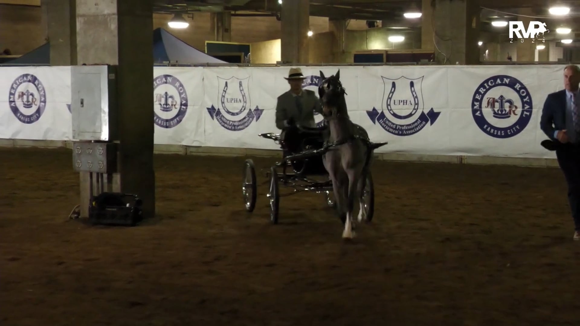 AR24 - Class 118 - AHHS Youth Medallion National Championship Hackney-Harness Pony