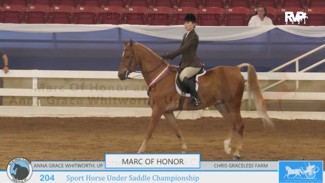 BR24 - Class 204 - Marc Of Honor and ...