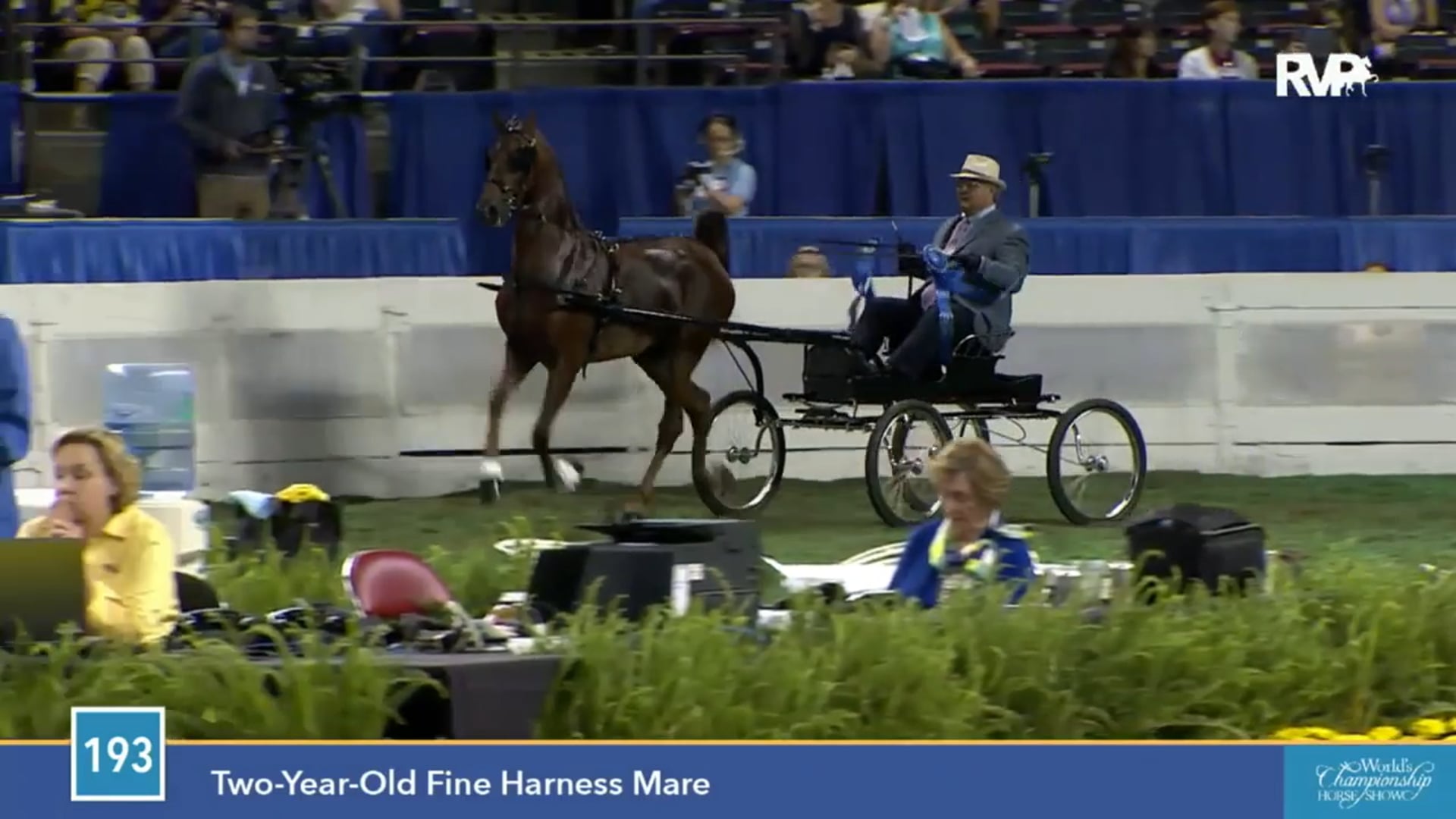2015 WCHS - Class 193 Two Year Old Fine Harness Mare 