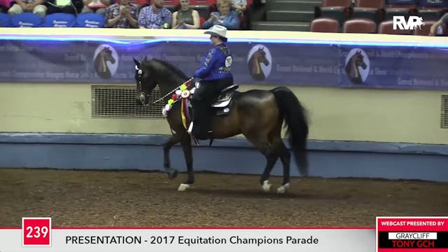 MGN17 - Equitation Parade