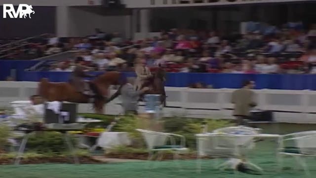 2004 World's Championship Horse Show ...