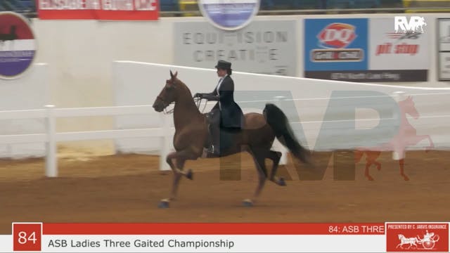 SC23 - Class 84 - ASB Three Gaited La...