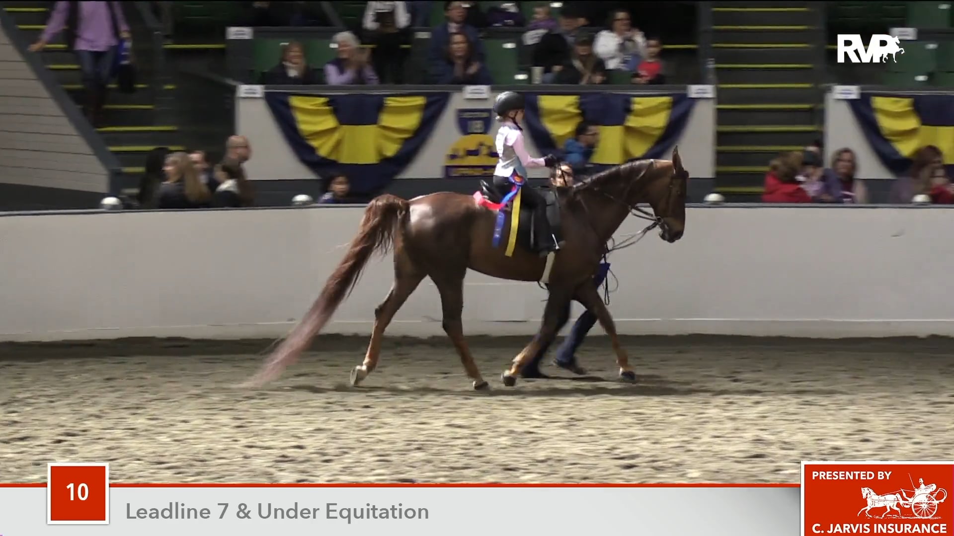 UPHA14-18 ACA Class 10 Leadline 7 & Under Showmanship