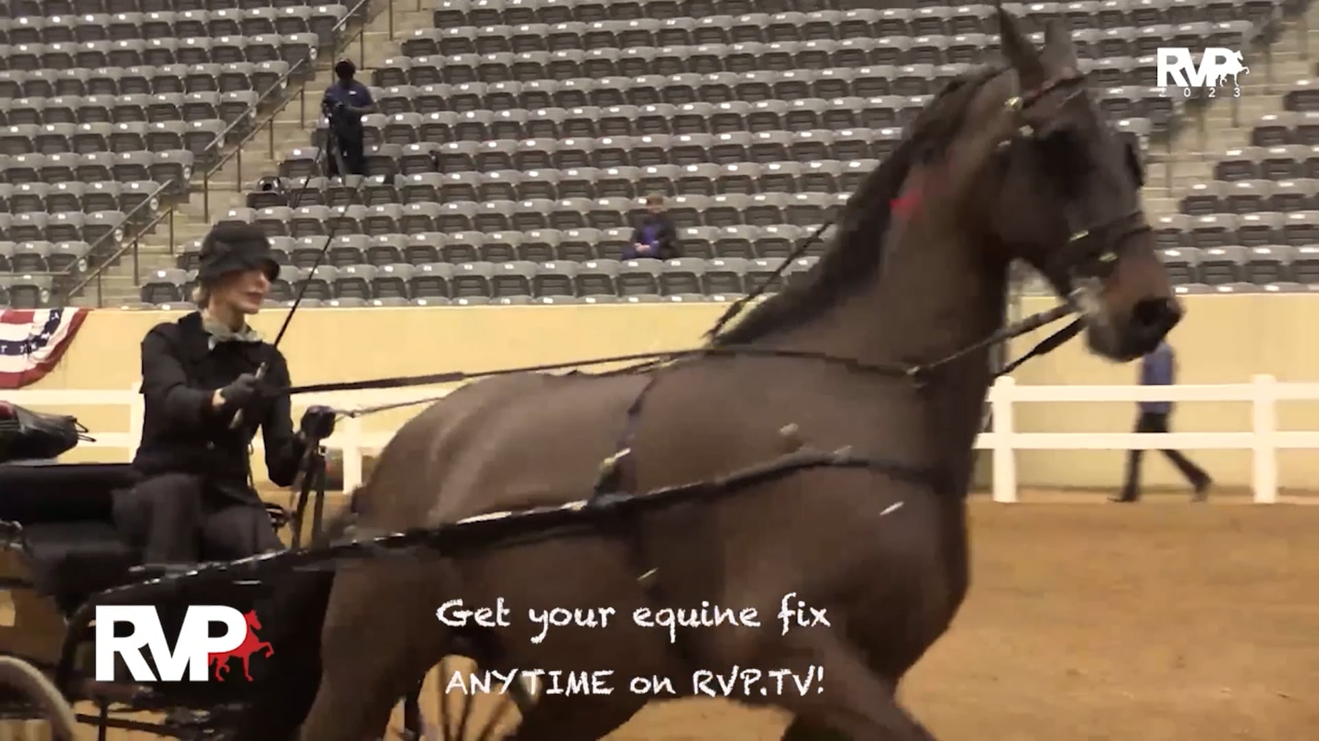 GC25 - Class 4 -  Sedgefield's Miraculous and Claudia Zarella, Up