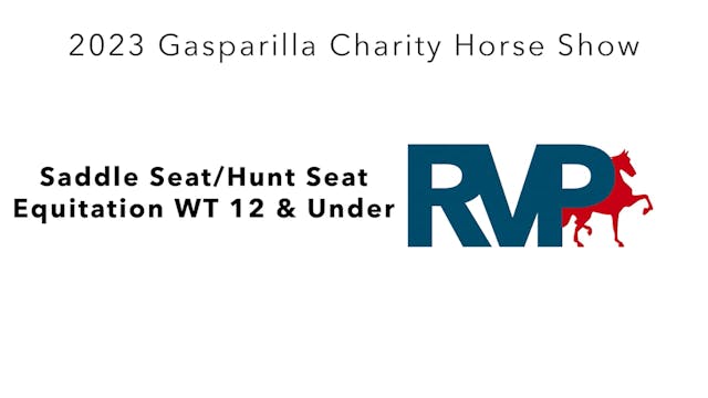 GASP23 - Class 91 - Saddle Seat-Hunt ...