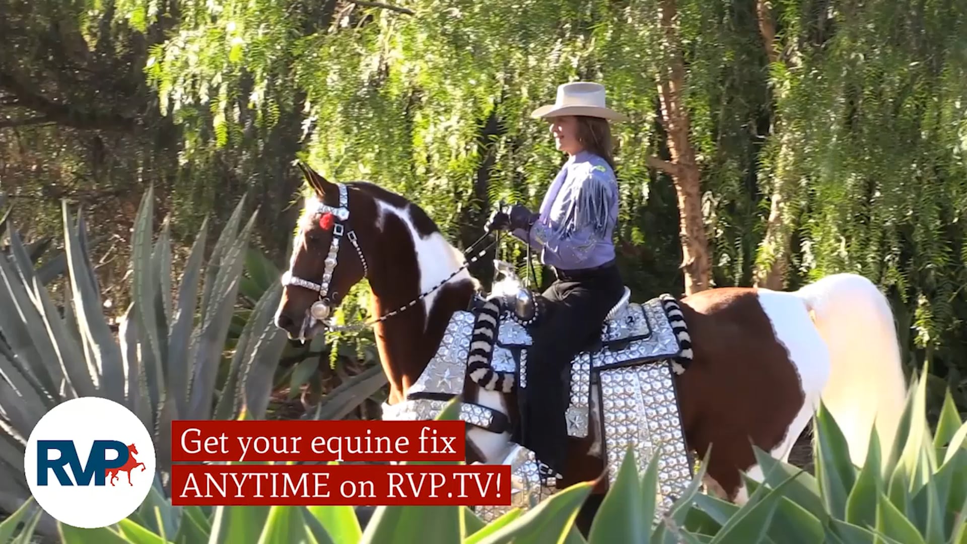 SS21 - Class 43 - April Trimmer, up