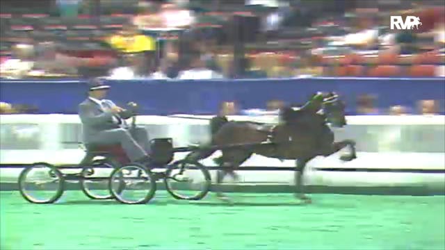 1992 WCHS Class 10 Three Year Old Har...