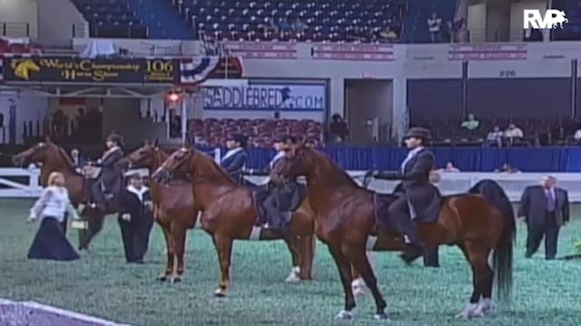 2009 World's Championship Horse Show ...