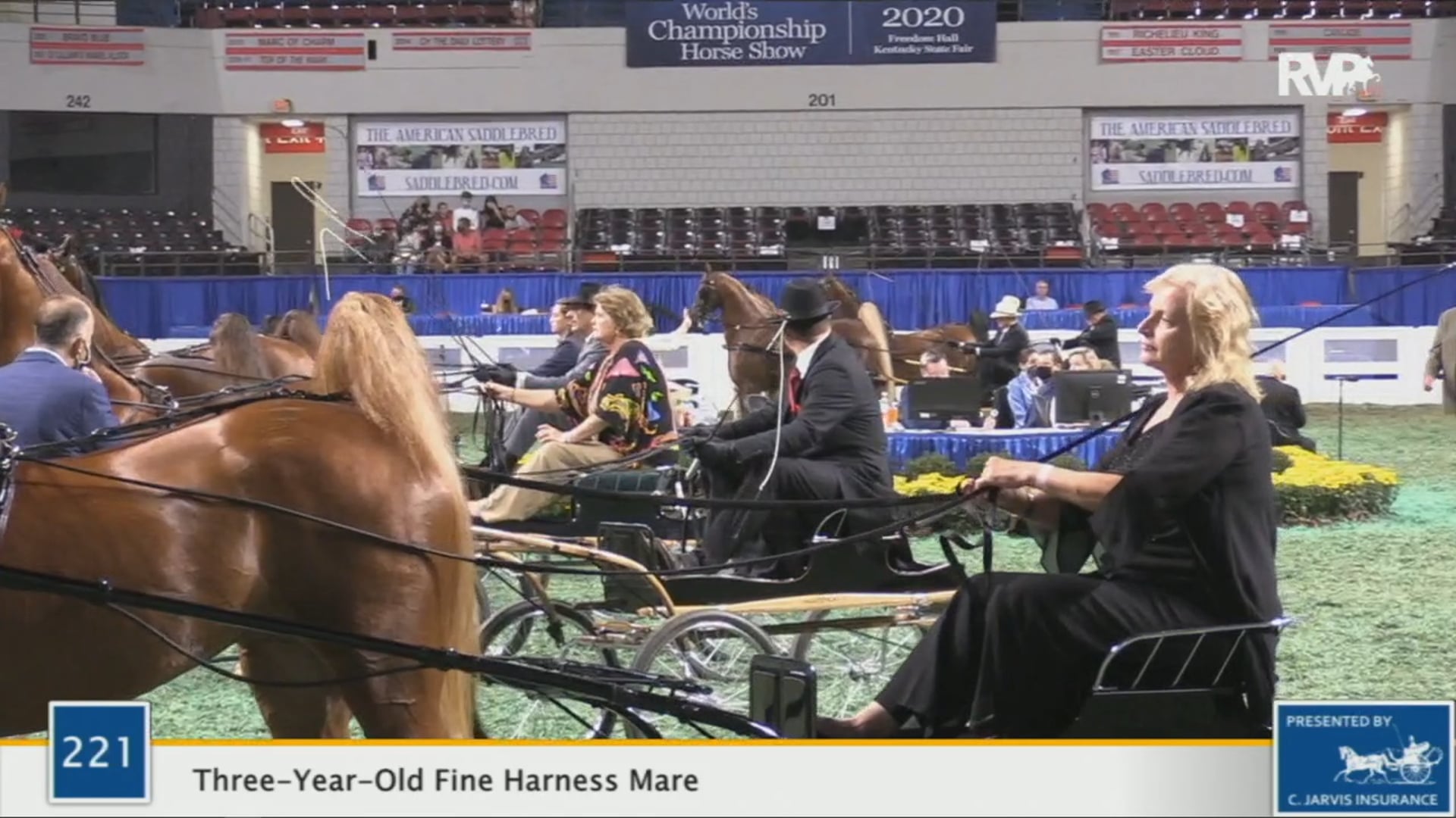 WCHS 2020 Class 221 - Three-Year-Old Fine Harness Mare