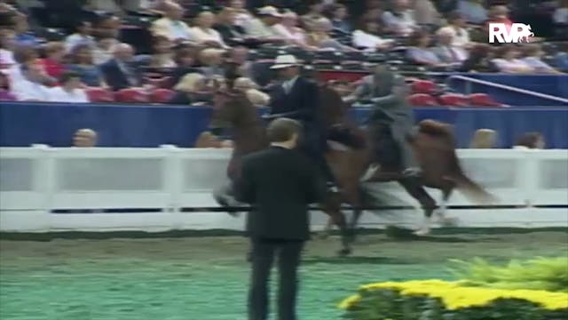 2000 WCHS Class 97 Amateur Three Gait...