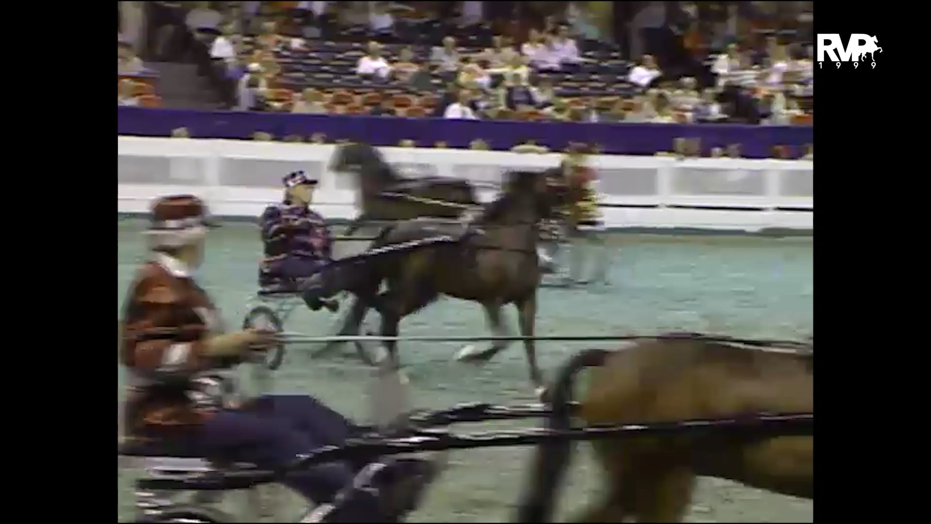 1999 WCHS - Class 59 Adult Amateur Roadster Pony Stake - 46 & Over