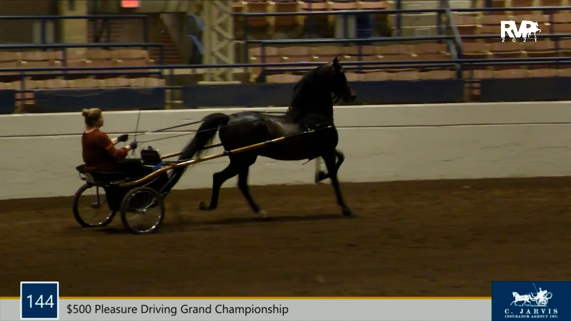 MJ21 - Class 144 - Akira Derringer GCH and Karen Earehart, whip