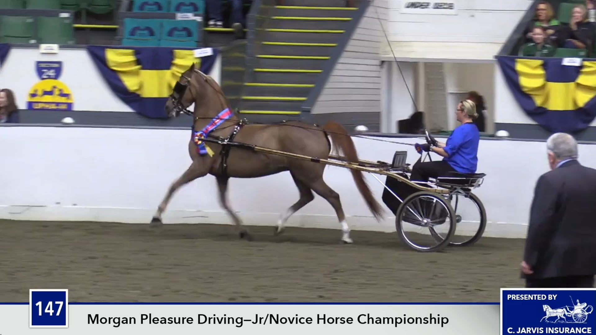 UPHACh14 17 - H's All My Style - Championship