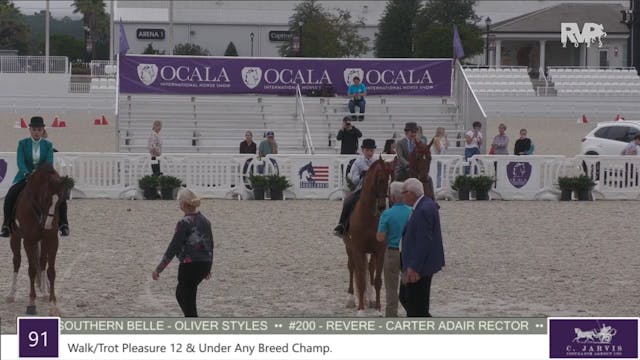 OIHS22 - Class 91 - Walk Trot Pleasur...